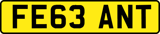 FE63ANT
