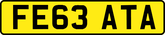 FE63ATA