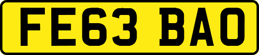 FE63BAO