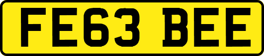 FE63BEE