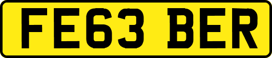 FE63BER