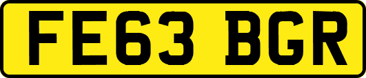 FE63BGR