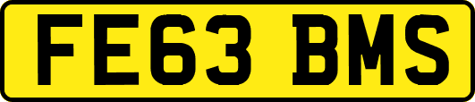FE63BMS