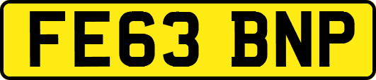 FE63BNP