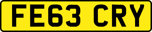 FE63CRY