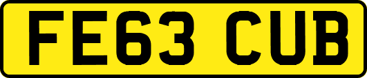 FE63CUB