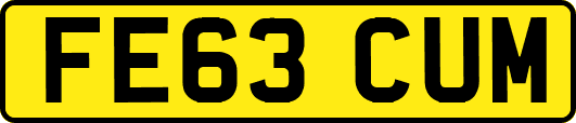 FE63CUM