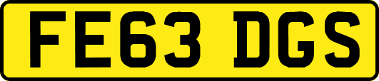 FE63DGS