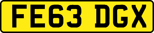 FE63DGX
