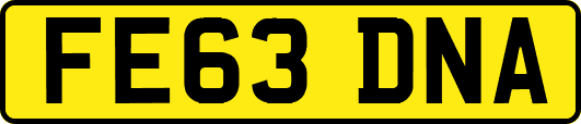 FE63DNA