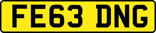 FE63DNG