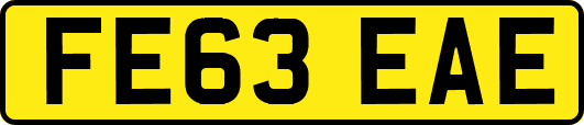 FE63EAE