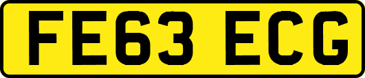 FE63ECG