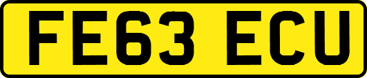 FE63ECU