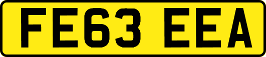 FE63EEA