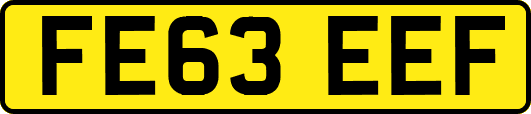 FE63EEF