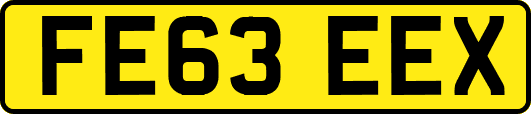 FE63EEX