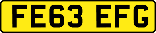 FE63EFG