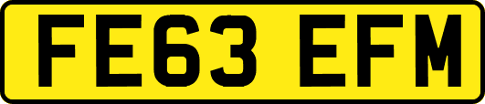 FE63EFM