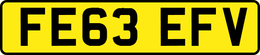 FE63EFV