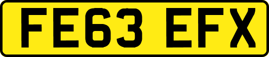 FE63EFX