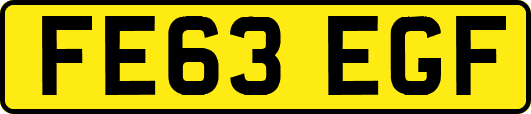 FE63EGF