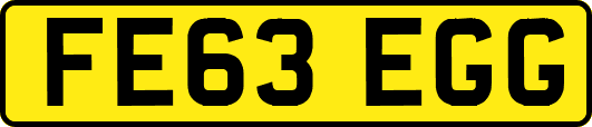 FE63EGG