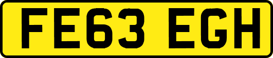 FE63EGH