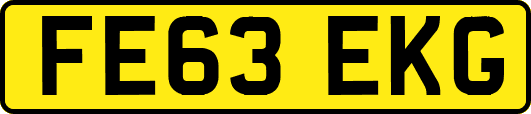 FE63EKG