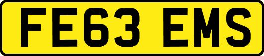 FE63EMS