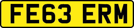 FE63ERM