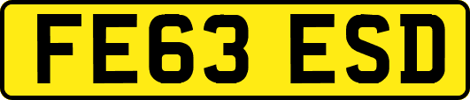FE63ESD