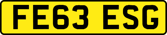 FE63ESG
