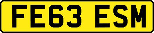 FE63ESM