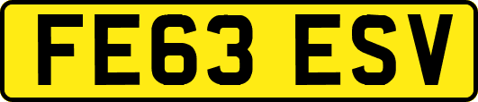 FE63ESV