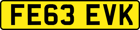 FE63EVK