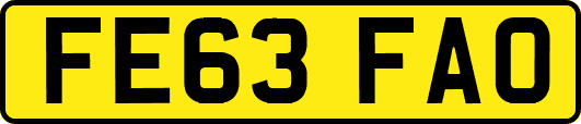 FE63FAO