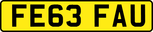 FE63FAU