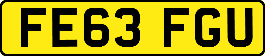 FE63FGU