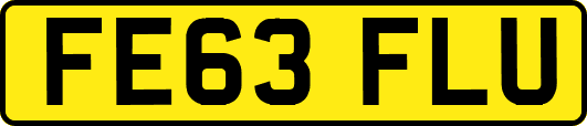 FE63FLU