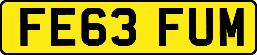 FE63FUM