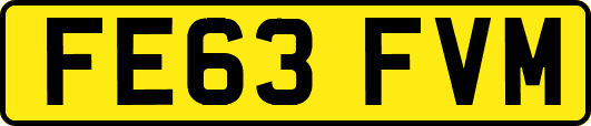 FE63FVM