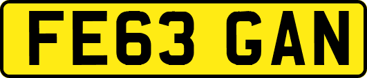 FE63GAN
