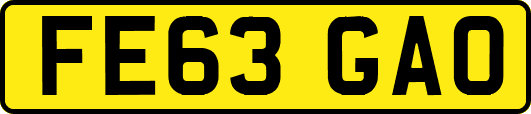 FE63GAO