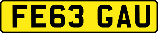 FE63GAU