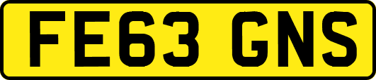 FE63GNS