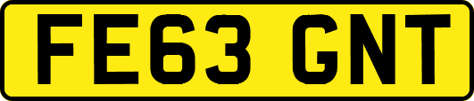 FE63GNT