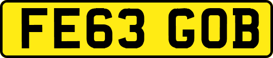FE63GOB