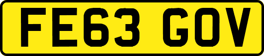 FE63GOV