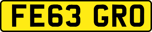 FE63GRO